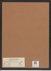 Actinoptychus minutus Pant. (de-Toni-Nr.: Genus 227, Species 5554) Zeichnungen Sammlung Grunow Mappe 05312 (Herbarium_W_Grunow_drawings_Folder_05312)